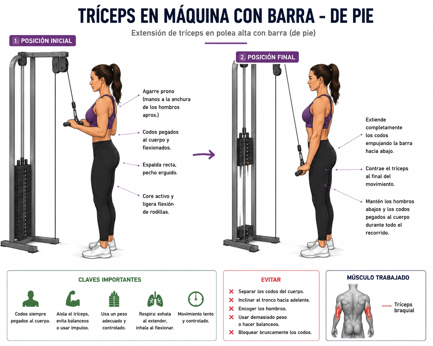 Tríceps inverso con barra