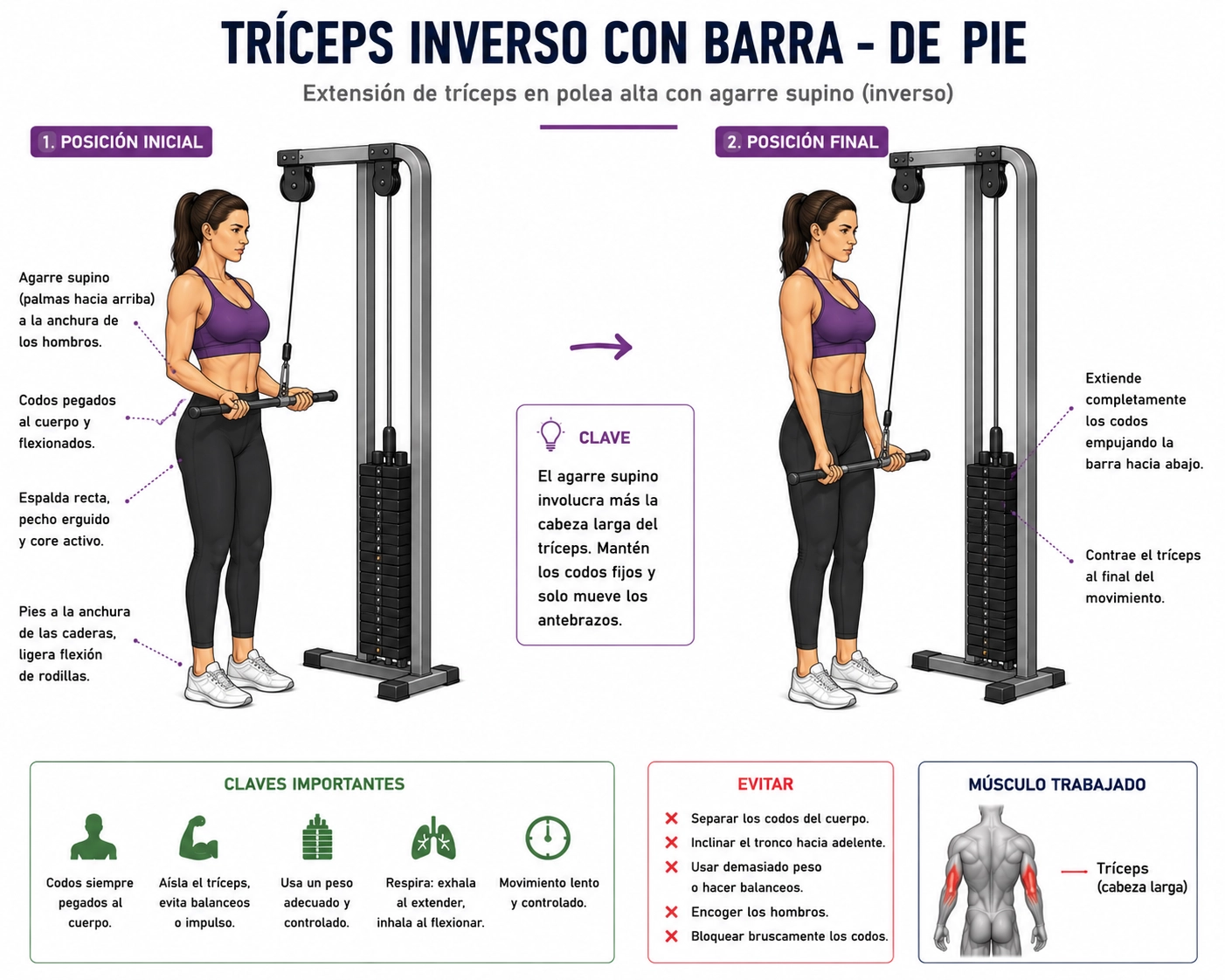 Bíceps en máquina con barra
